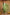 Ahika Green Poly Silk Solid Yoke Design Kurta Trousers With Dupatta