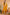 Ahika Mustard Poly Silk Straight Suit Set