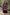 Ahika Silk Blend Purple Embroidered Straight Kurta Sharara With Dupatta