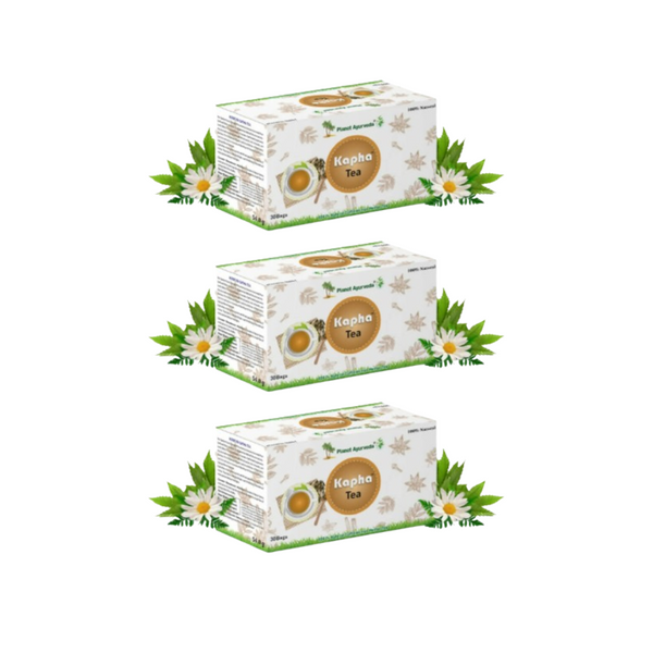 Planet Ayurveda Kapha Tea