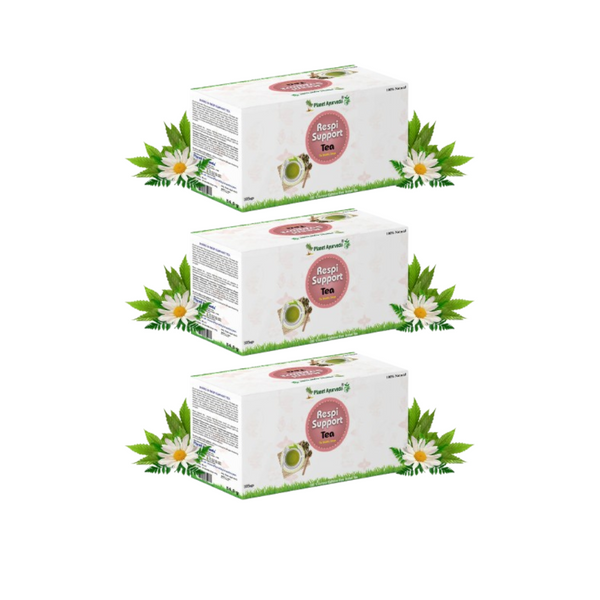 Planet Ayurveda Respi Support Tea