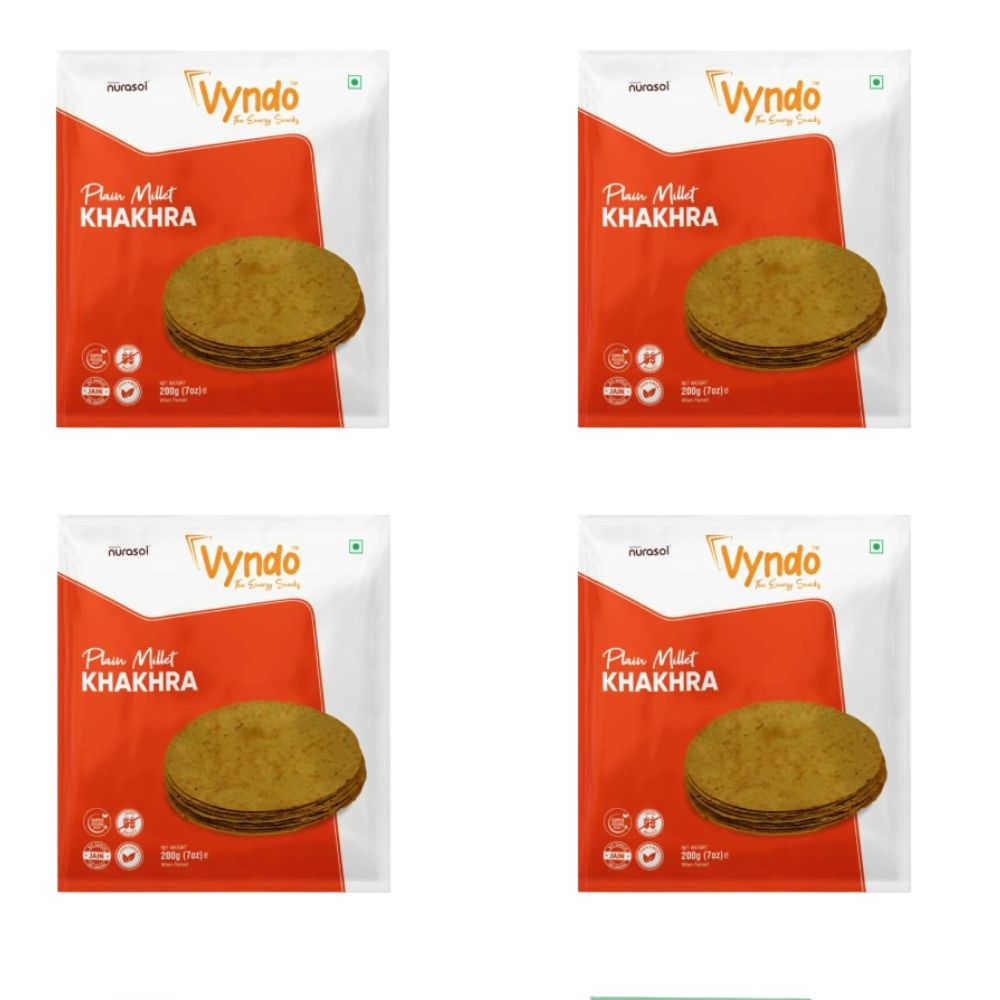 Vyndo Moongadi Khakhra