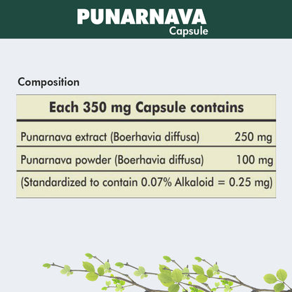 Herbal Hills Ayurveda Punarnavahills Capsules - Distacart