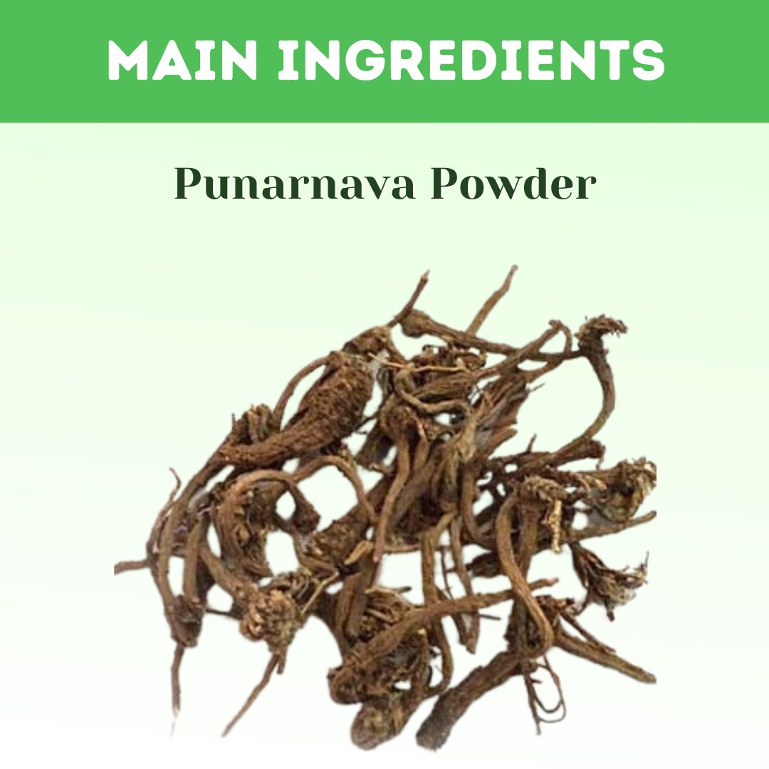 Herbal Hills Ayurveda Punarnava Powder