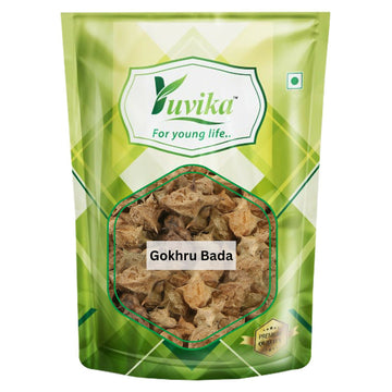 Yuvika Gokhru Bada - Gokhroo Bada - Pedalium Murex - Large Caltrops - Distacart