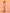 Piyari Fashion Women's Tan Resham Silk Jamdani Saree
