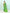 Piyari Fashion Women's Green Cotton Handloom Jamdani Saree With Blouse