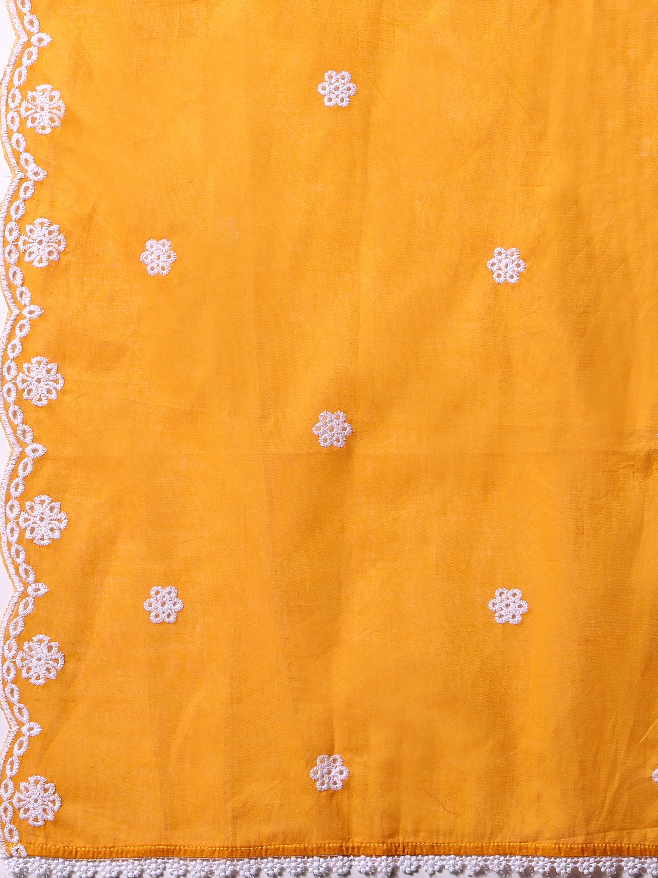 Nayra Cut Chikankari Embroidered Kurta With Pant And Dupatta Set, Multicolor - Hiral Fashion - Dista
