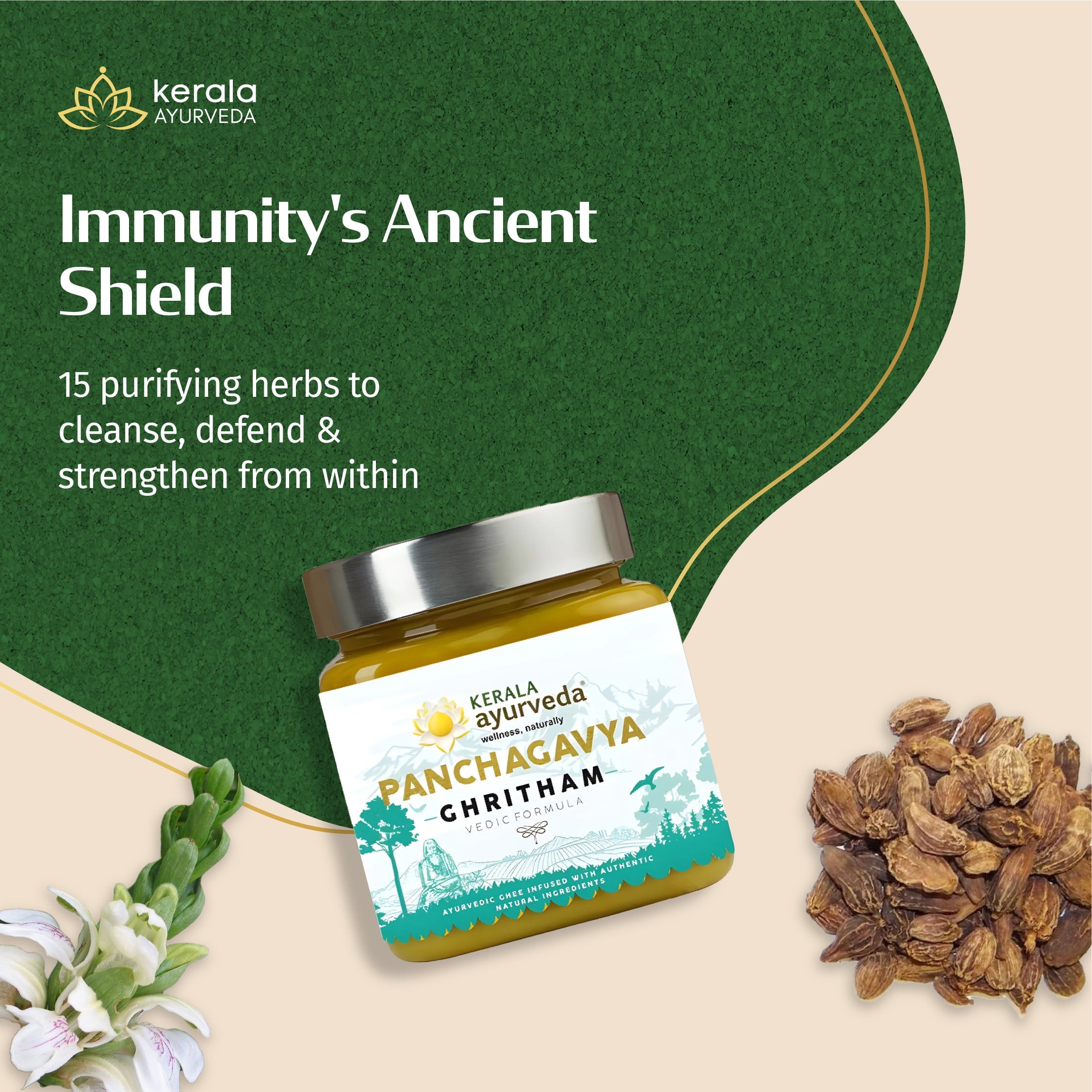 Jar of Kerala Ayurveda Panchagavya Ghritam with herbs on a green and beige background