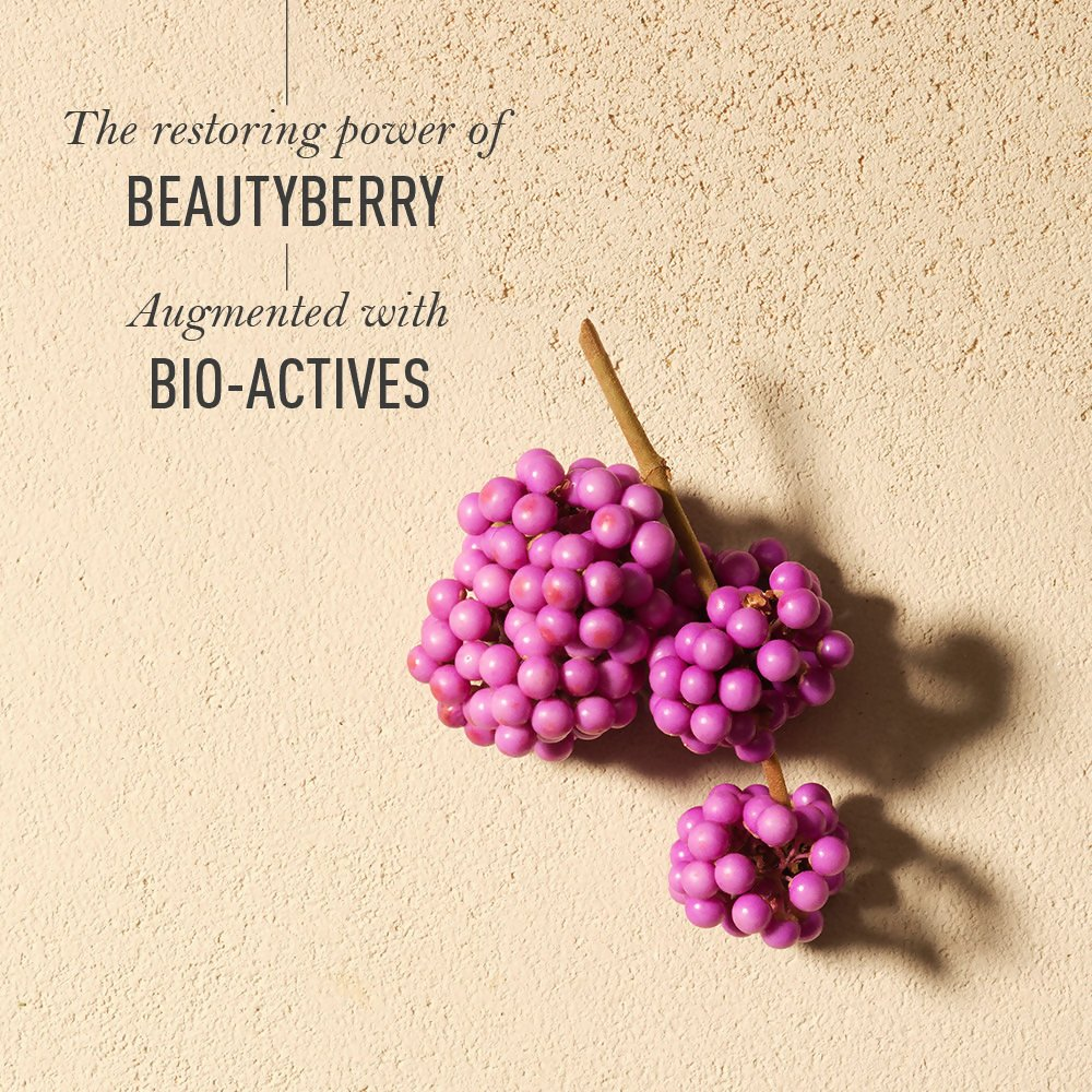 0ecbe4cKAMAA00000366_3