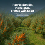 Thumbnail for Krishna'S Herbal & Ayurveda Sea Buckthorn Juice