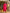 Yufta Pink Tie And Dye Chanderi Silk Kurta With Trousers With Dupatta Set