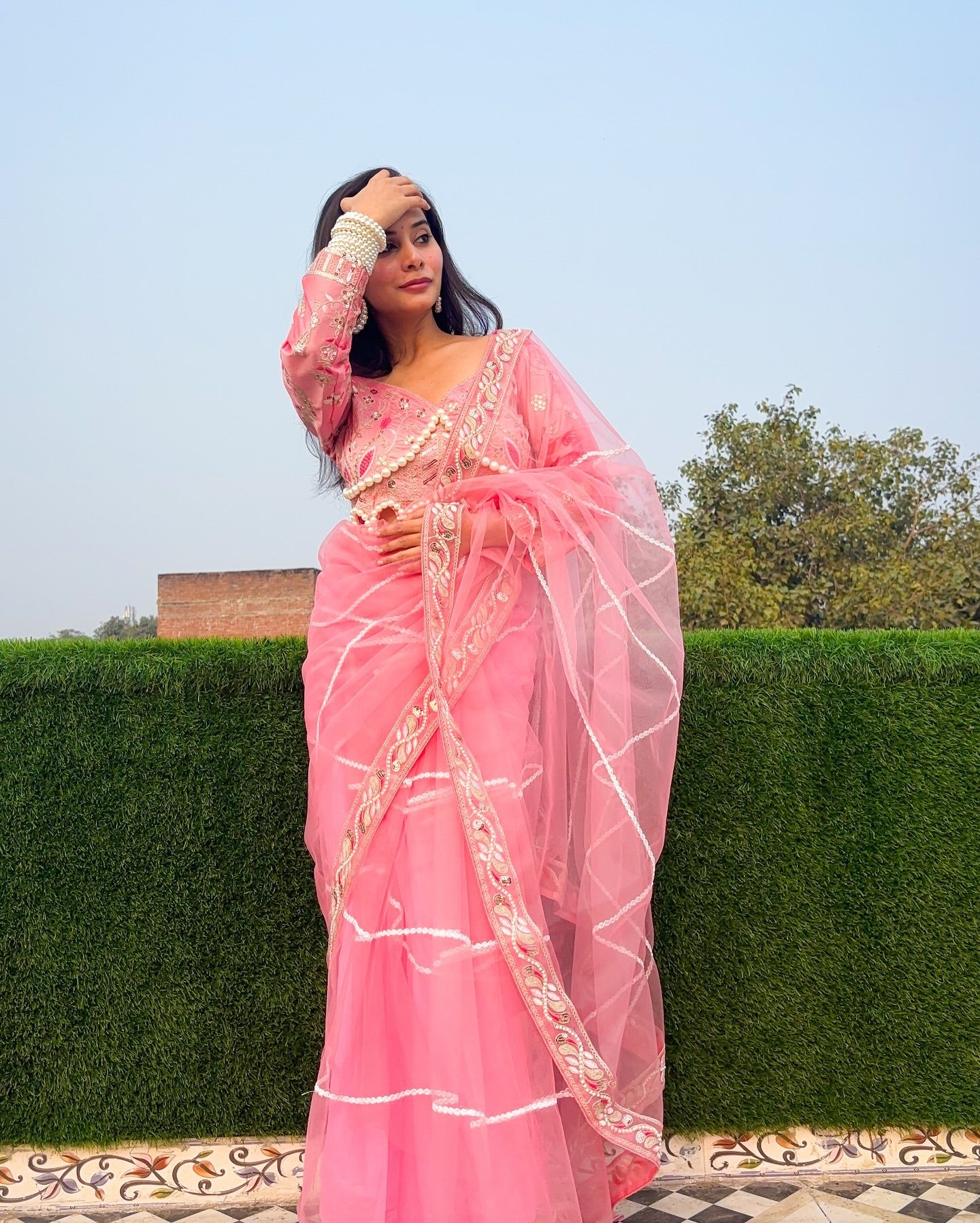 Evanik Pink Net Embroidery work Saree with Moti Hand work Blouse