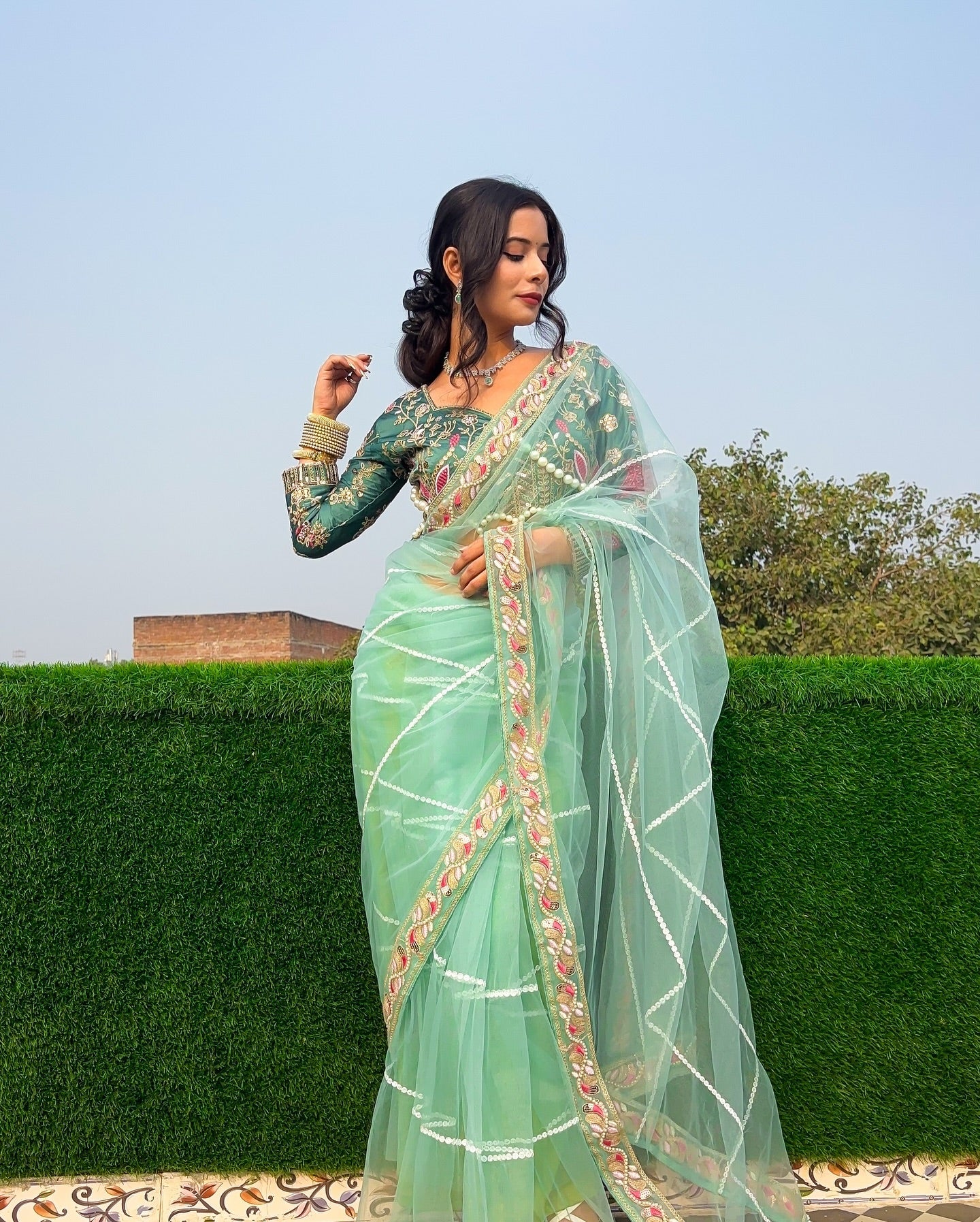Evanik Pista Net Embroidery work Saree with Moti Hand work Blouse - Distacart