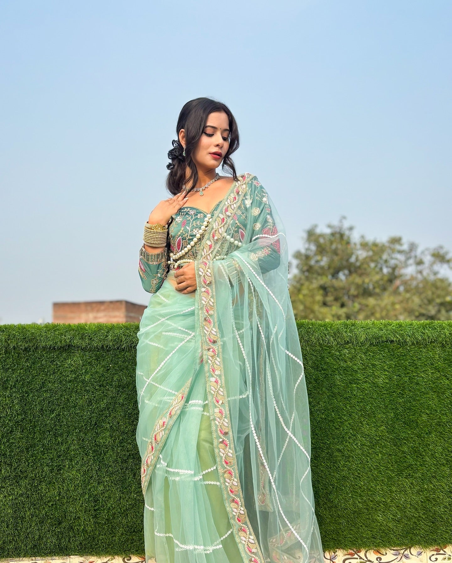 Evanik Pista Net Embroidery work Saree with Moti Hand work Blouse - Distacart