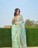 Evanik Pista Net Embroidery work Saree with Moti Hand work Blouse - Distacart