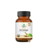 Organic India Sat Isabgol Capsules - Distacart