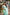 Seagreen Pure Linen Ethnic Motifs Saree with Unstitched Blouse - A2M