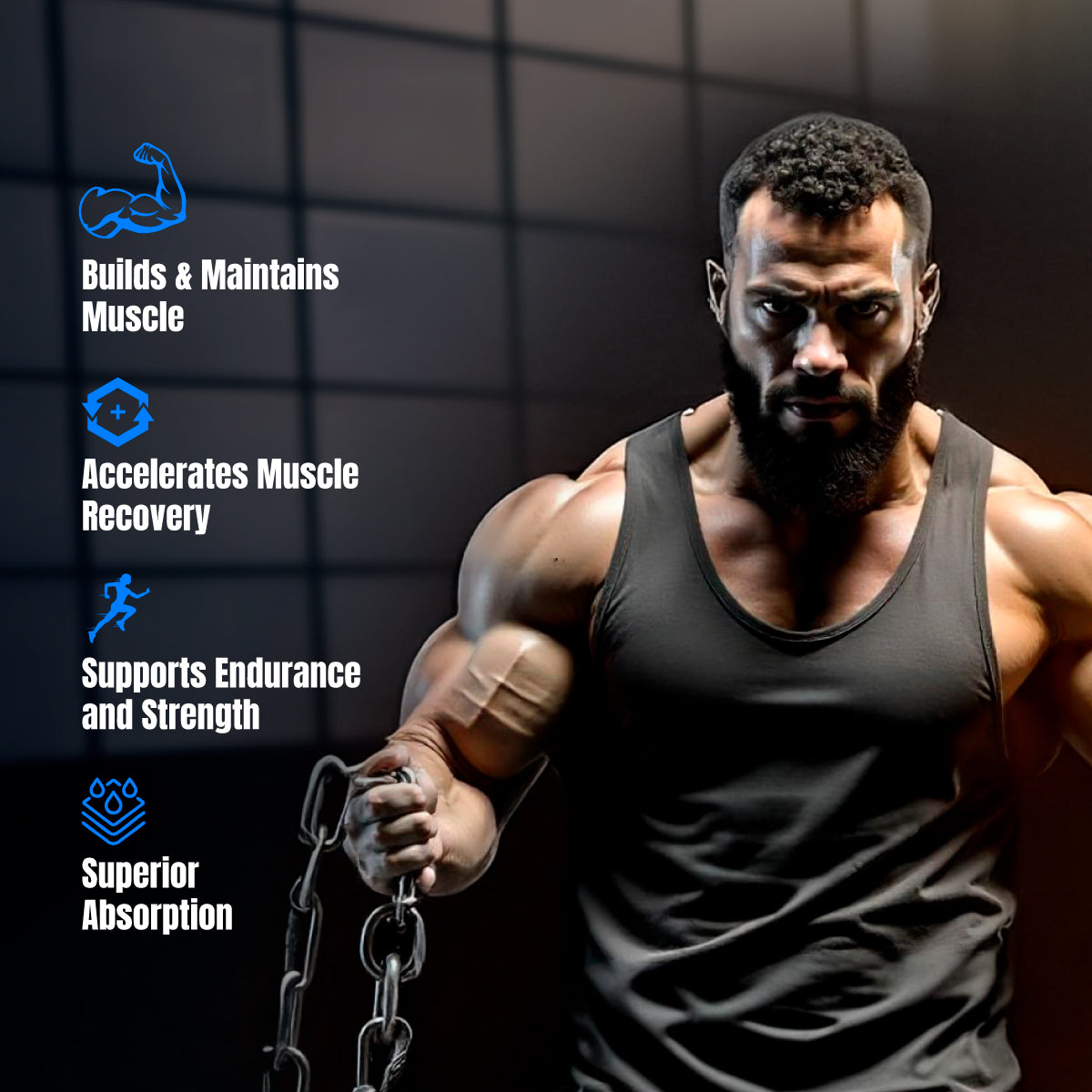 Big Muscles Nutrition Prime Protein - Dista