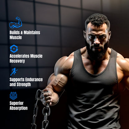 Big Muscles Nutrition Prime Protein - Dista
