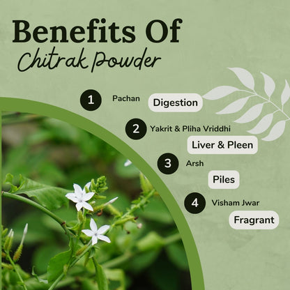 Songara Chitrak Powder - Dista