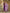 The52 Embroidered Rayon Fabric Straight Kurta, Pant and Dupatta Set