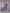 Yufta Purple Pure Cotton kurta set with embroidery Kurta Trouser Set