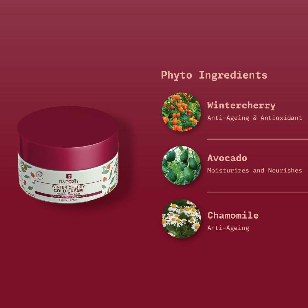 Ningen Winter Essential Kit - Distacart