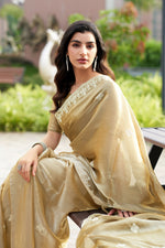 Thumbnail for Vastranavya Beige Embroidery Work Shimmer Chiffon Saree with Unstitched Blouse