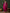 Sangria Floral Embroidered Straight Kurta & Trouser With Dupatta