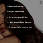 Thumbnail for download - 2024-10-26T112141.006