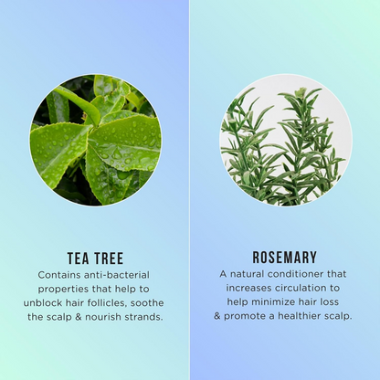 HASK Tea Tree Oil & Rosemary Invigorating Shampoo And Conditioner - Distacart