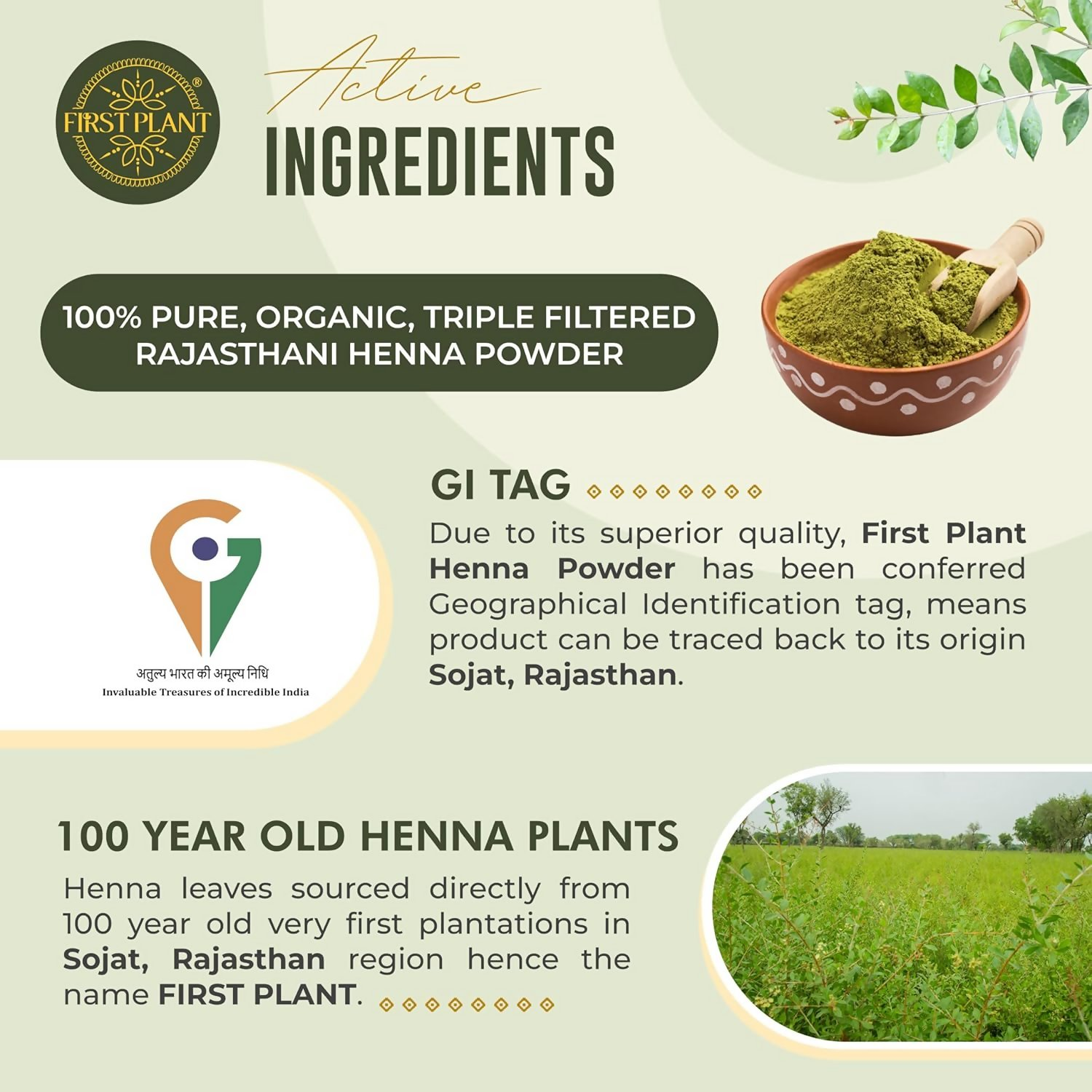 First Plant Premium Rajasthani Henna Powder - Distacart