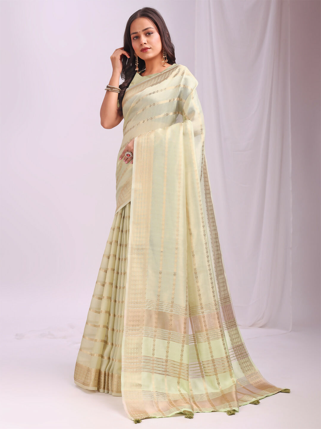 Astita Organza Light Green Saree