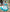 Jyoti Fashion Classy Sky Blue Heavy Chenille Sequins Embroidered Kids Lehenga Choli Set - Distacart