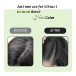 Thumbnail for Prem Dulhan Natural Black Henna Based Hair Color - Distacart