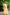 Yellow Pure Linen Ethnic Motifs Saree with Unstitched Blouse - A2M