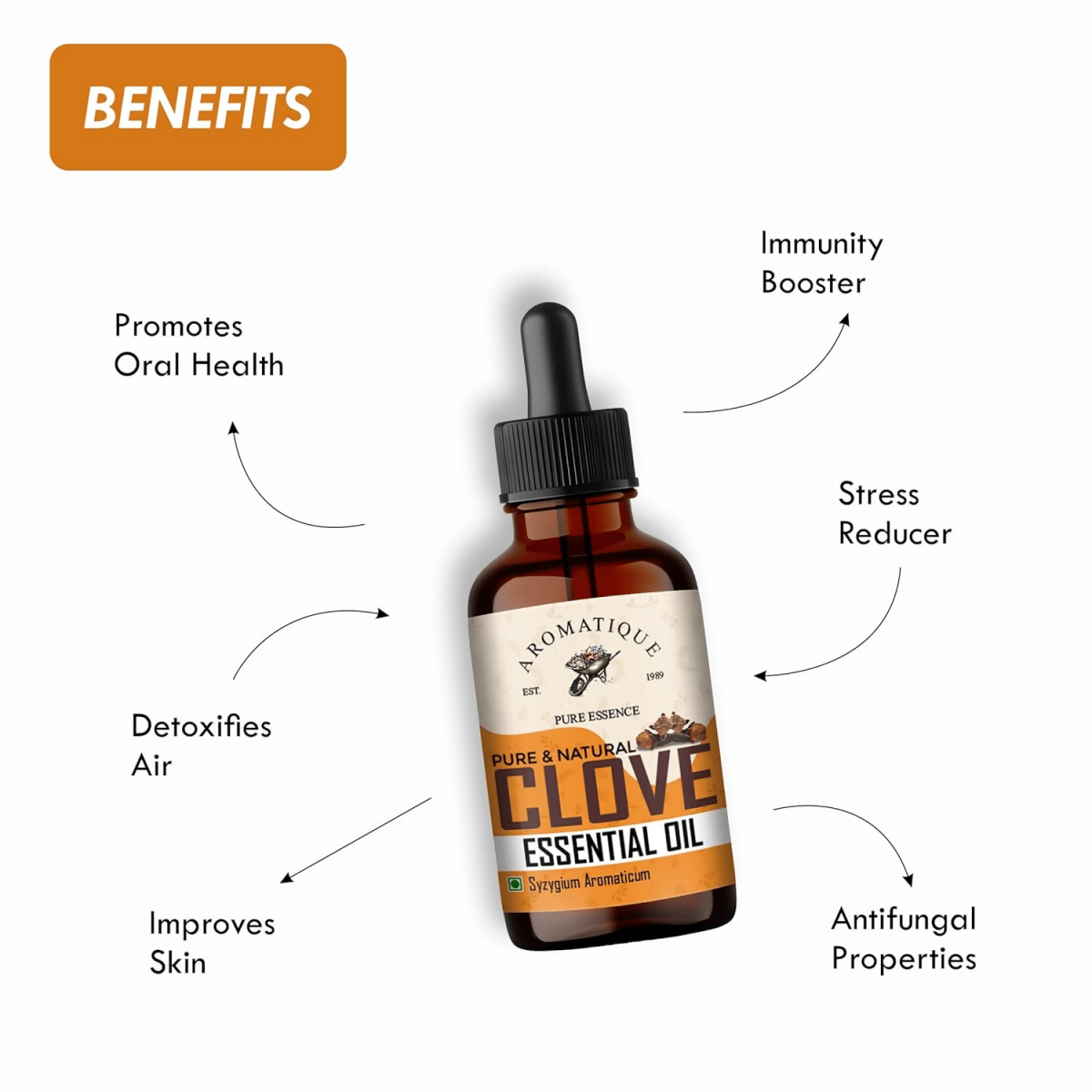 download - 2024-11-06T161233.185