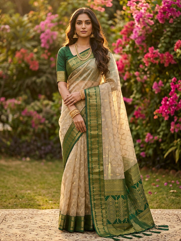Shree Shyam Fashion Chiku With Green Cotton Saree - Dista