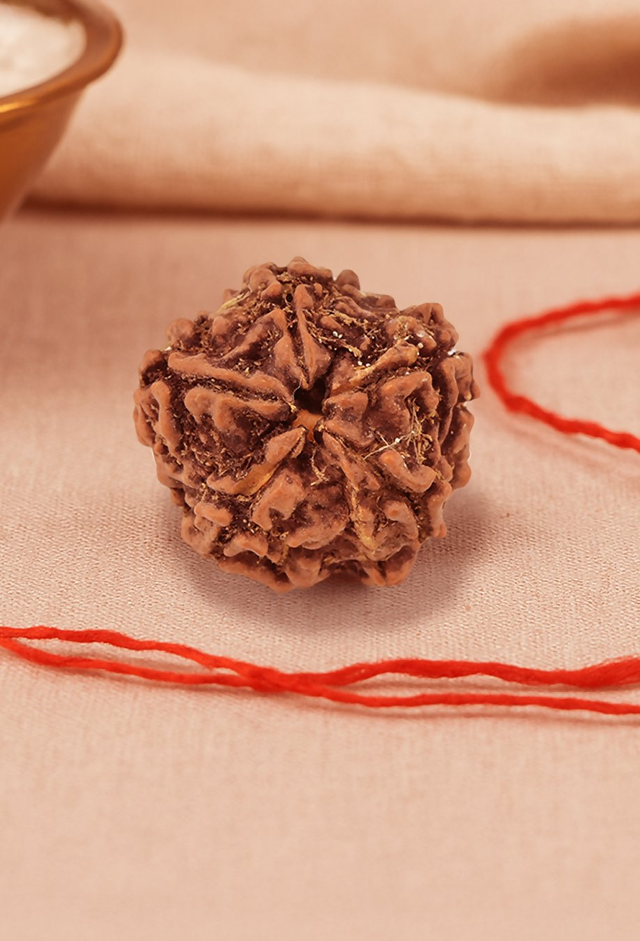 Pujashree Panchmukhi Rudraksh Single Bead – Sacred Five Mukhi Rudraksha for Protection & Peace - Dista
