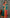 ECDCBANGLADESHICOTTONGreen