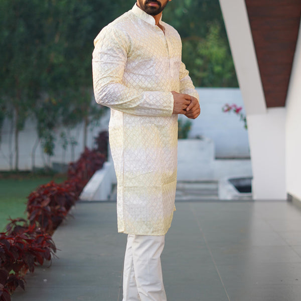 Prazu Fashion Light Green Cotton Embroidered Shading Print Kurta