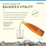 Thumbnail for Wellwith Fitwell Juice – Himalayan Sea Buckthorn + Garcinia, Kokum & Punarnava - Distacart
