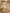 Rivasha Fashion Viscose Assam Silk Embroidered Beads Kurti With Pant And Dupatta - Cream