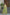 Rivasha Fashion Women Heavy Crunchy Silk With Embroidery Codding & Sequins Work Anarkali Gown With Dupatta - Light Green