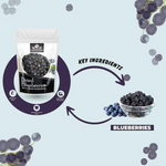 Thumbnail for Nature Yard Blueberry Dried Without Sugar - Distacart
