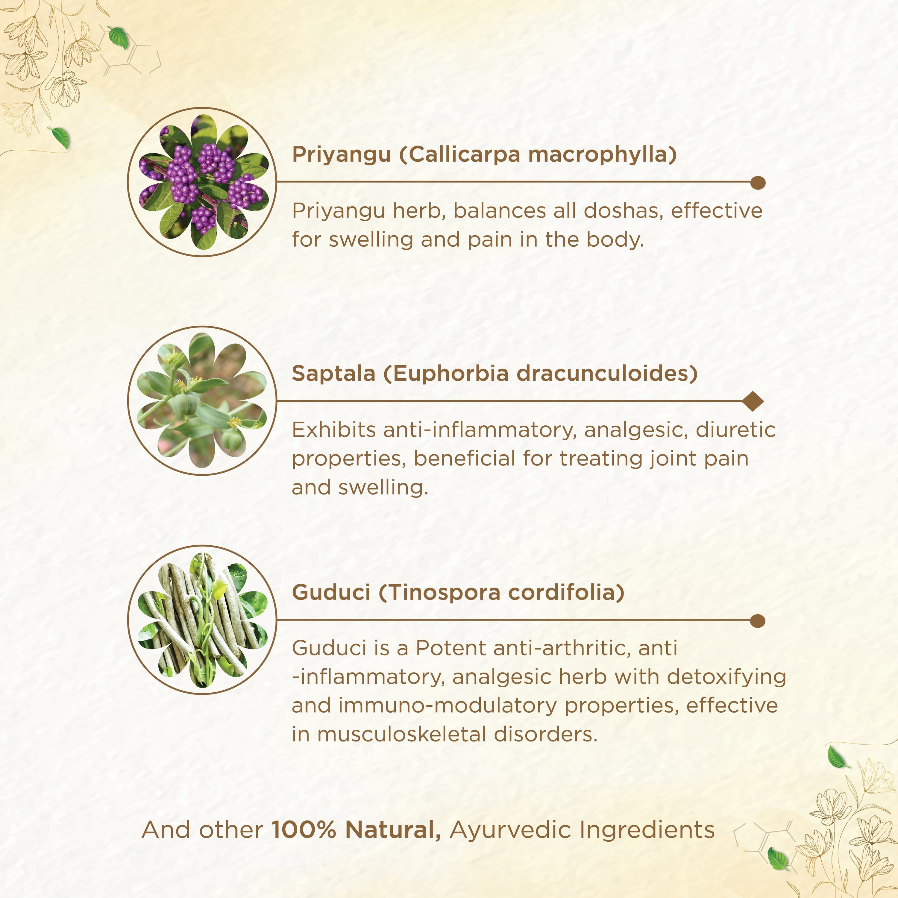 Shreevarma Rheunil Capsules