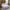 Rudra Bazaar Purple 210 TC Cotton Double King Bedsheet With 2 Pillow Covers
