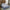 Rudra Bazaar Blue 210 TC Cotton Double King Bedsheet With 2 Pillow Covers