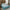 Rudra Bazaar Turquoise Blue 210 TC Cotton Double King Bedsheet With 2 Pillow Covers